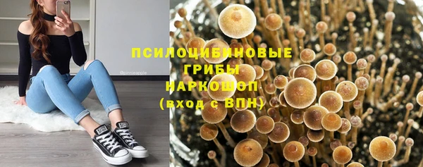 бошки Абдулино