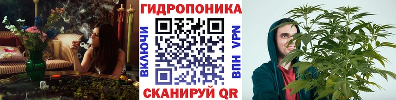 Бошки Шишки SATIVA & INDICA Шахунья